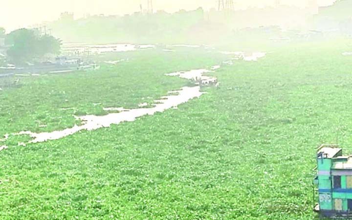 কচুরিপানার করণে বুড়িগঙ্গায় নৌকা চলাচল বন্ধ